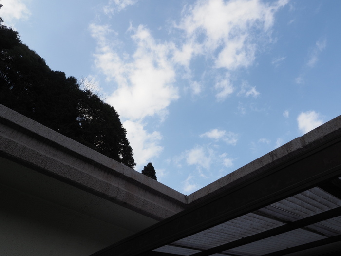 晴れたり曇ったりのち曇り_c0116915_23084013.jpg