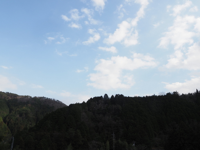晴れたり曇ったりのち曇り_c0116915_23090847.jpg