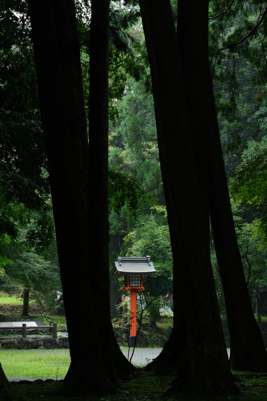 三和酒類 From OITA 「koji note」 風林光水 祈り 宇佐神宮2_f0050534_22064356.jpg
