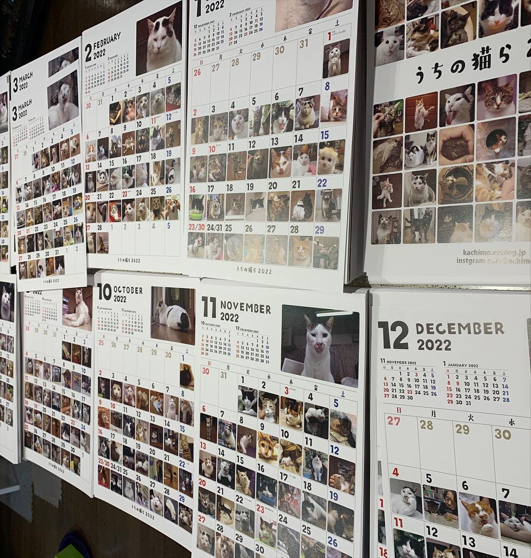 うちの猫らカレンダー2022_a0028451_15041667.jpg