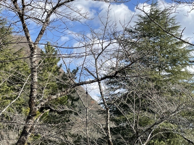 明日から休日。_a0394574_22193226.jpeg