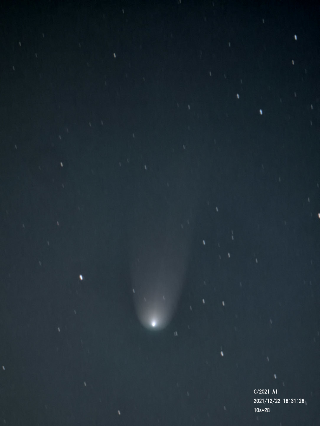 12月22日のレナード彗星_e0174091_16271073.jpg