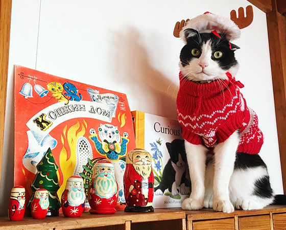 * antique sheep ❀ クリスマスの羊さん (水色リボンと鈴♪) 😜🌚☘️