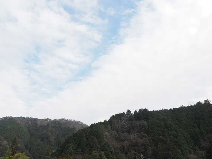 晴れのち曇り_c0116915_22211619.jpg