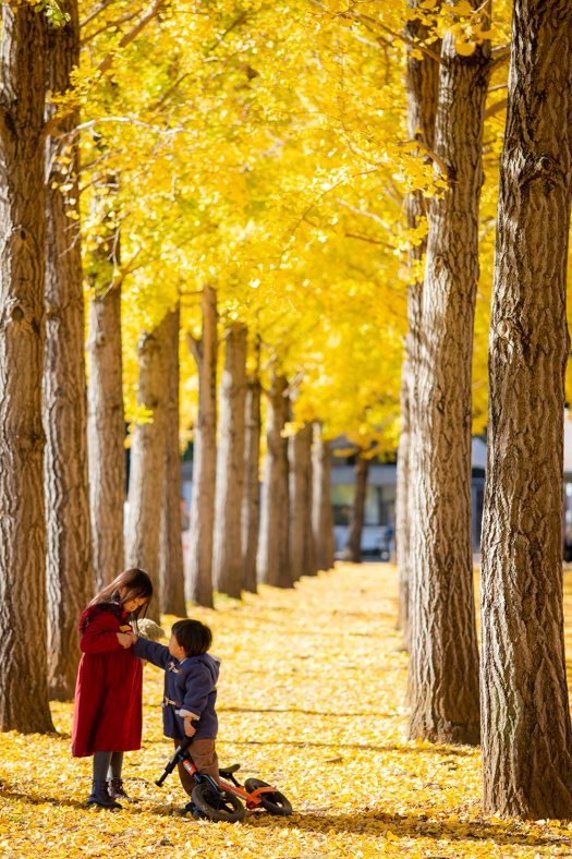 ブログテーマ「紅葉の1枚」_f0357923_16475788.jpg