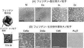 【バイオコンスピラシー】中世は大航海時代、２１世紀は大創薬時代！？→俺「どっちも人が奴隷化されるっていうことだよナ！」_a0386130_14341845.jpeg