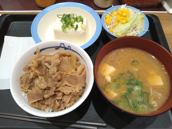 12 25 松屋 得朝牛めしミニ豚汁セット冷奴 ミニ生野菜 無駄遣いな日々