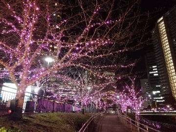 目黒川 みんなのイルミネーション2021_a0061057_21082233.jpg