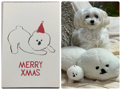 Merry Christmas☆_d0233891_03143919.jpg