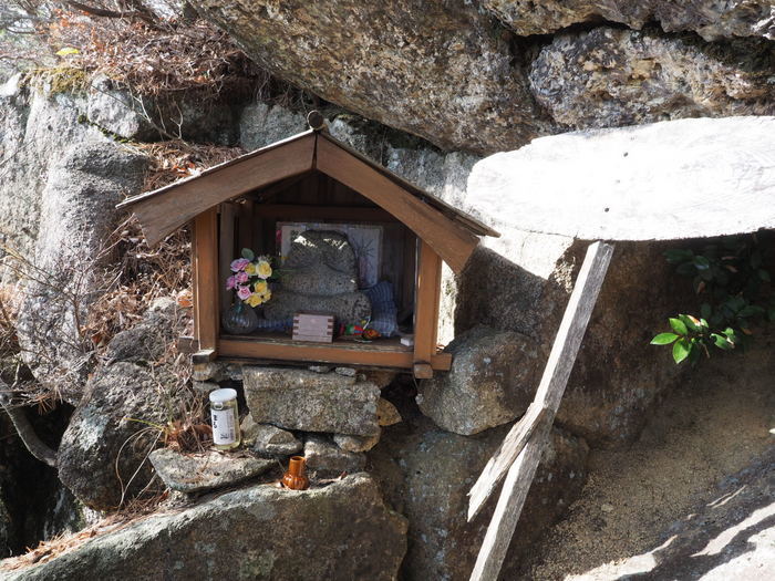 窓ヶ山登山（藤の木台ー野登呂コースー仏峠ー東峰―西峰ー西コースー魚切登山口）_c0116915_00364873.jpg