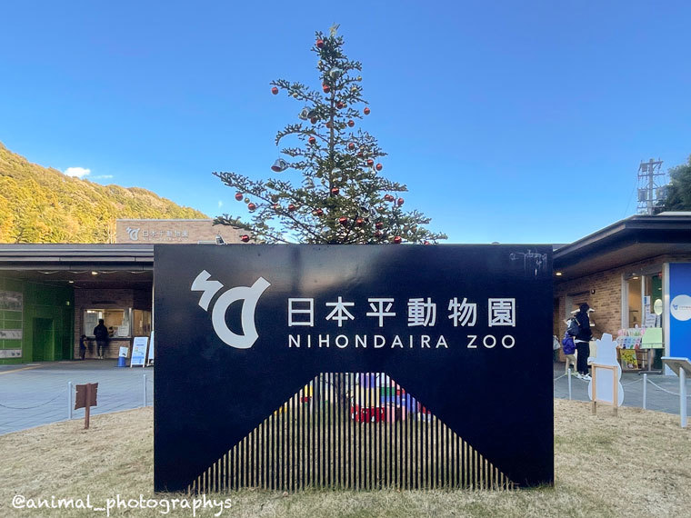 日本平動物園 アムールトラ情報 Animal Photographys S Blog
