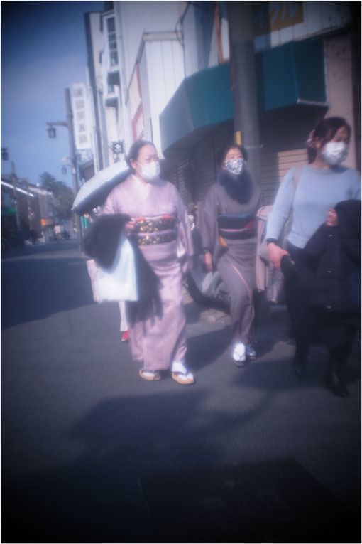 2278 メドベット(2021年2月8日キノプラズマート19㎜F1.5は奈良町を妖気で包むよう)写幻_b0226423_11534497.jpg