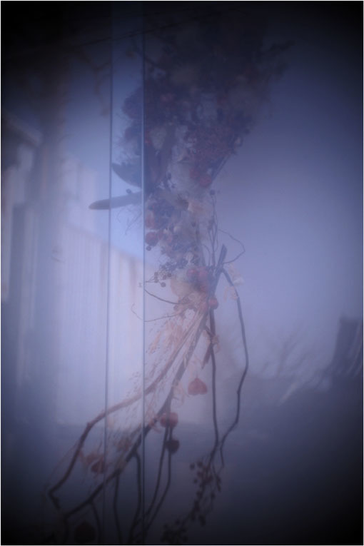 2278 メドベット(2021年2月8日キノプラズマート19㎜F1.5は奈良町を妖気で包むよう)写幻_b0226423_11541770.jpg
