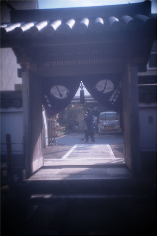 2278　メドベット（2021年2月8日キノプラズマート19㎜F1.5は奈良町を妖気で包むよう）写幻_b0226423_11551990.jpg
