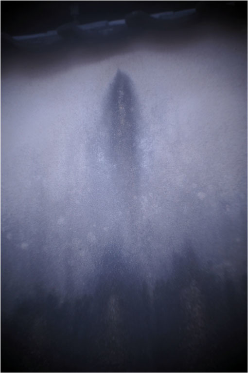 2278 メドベット(2021年2月8日キノプラズマート19㎜F1.5は奈良町を妖気で包むよう)写幻_b0226423_11561059.jpg