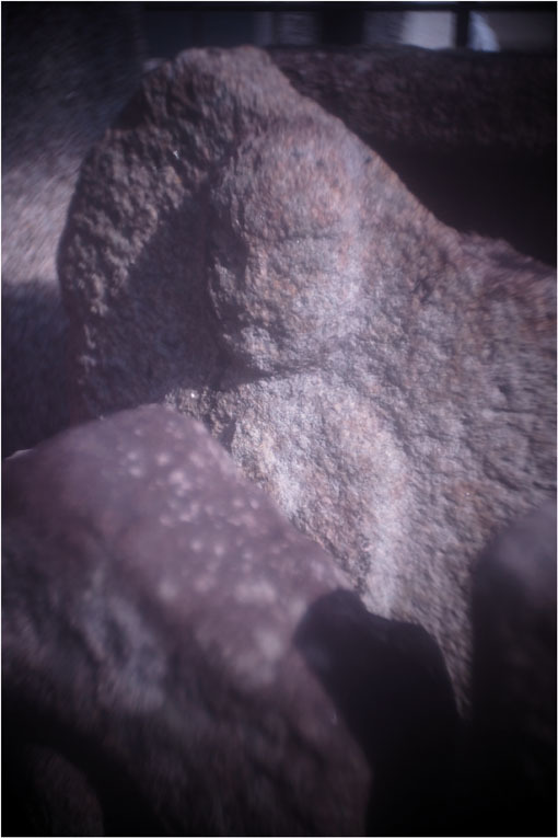 2278 メドベット(2021年2月8日キノプラズマート19㎜F1.5は奈良町を妖気で包むよう)写幻_b0226423_11595717.jpg