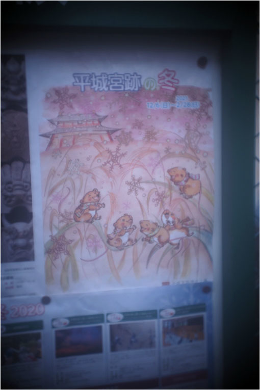 2278 メドベット(2021年2月8日キノプラズマート19㎜F1.5は奈良町を妖気で包むよう)写幻_b0226423_12004965.jpg