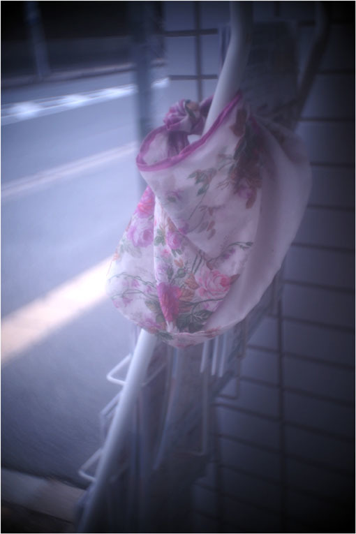 2278 メドベット(2021年2月8日キノプラズマート19㎜F1.5は奈良町を妖気で包むよう)写幻_b0226423_12021825.jpg
