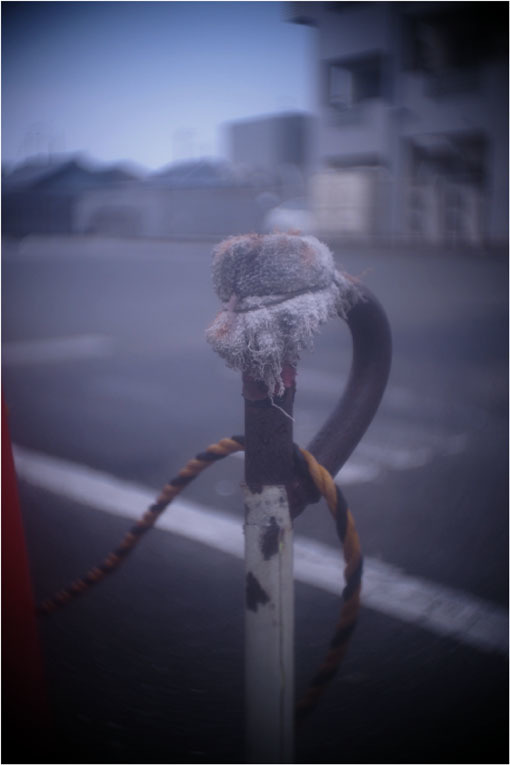 2278 メドベット(2021年2月8日キノプラズマート19㎜F1.5は奈良町を妖気で包むよう)写幻_b0226423_12022813.jpg