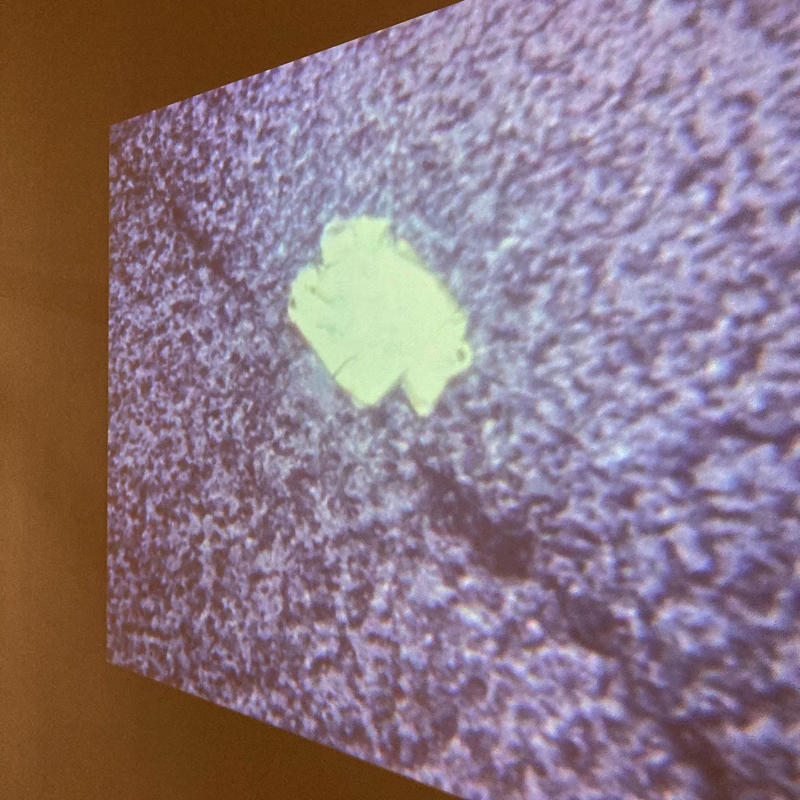 石黒健一 個展「FOOLS GOLD/愚者の金」でヒントをたどりながら_c0060143_14552652.jpg