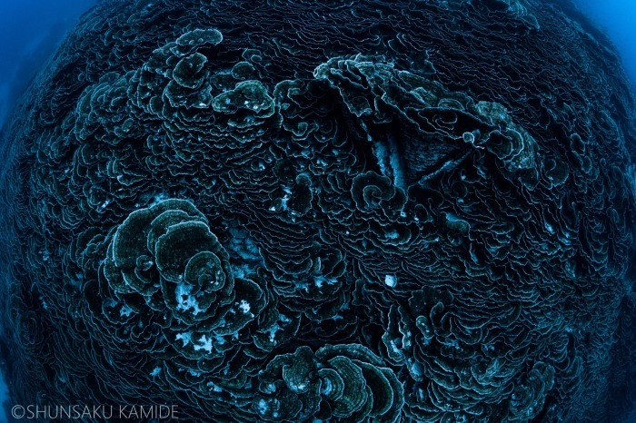 石垣島最北端_e0158261_07190492.jpg