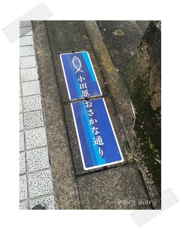 10月の小田原散歩~海鮮丼~♪_e0206490_23442403.jpg