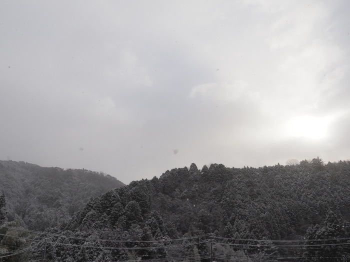 今朝の雪景色_c0116915_00023848.jpg