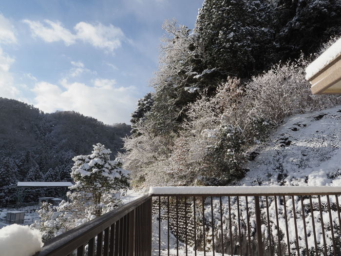 今朝も雪国_c0116915_23294123.jpg