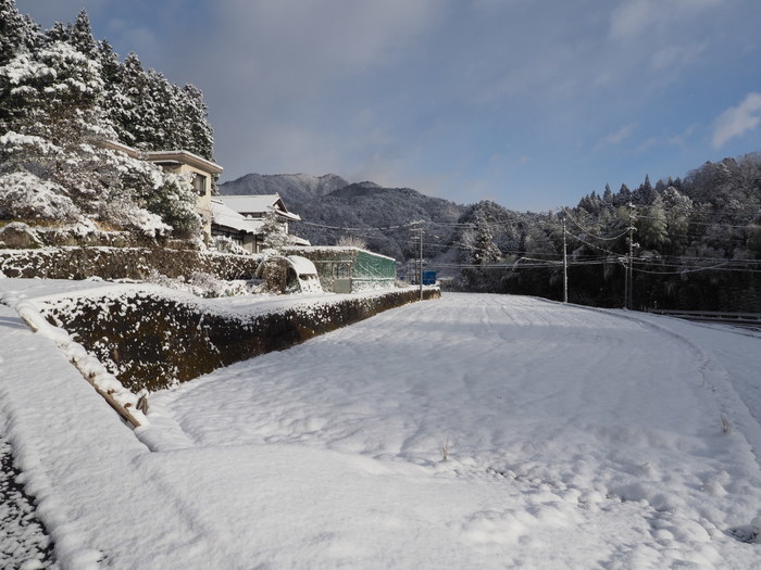 今朝も雪国_c0116915_23345319.jpg