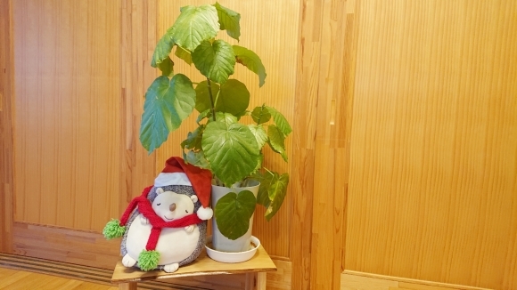 残っていくもの***_e0290872_09025201.jpg