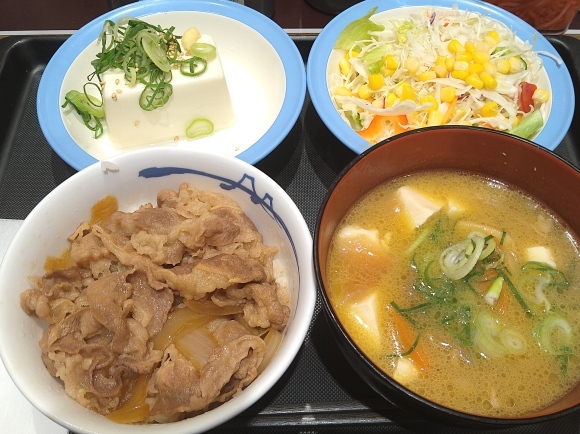 12 28 松屋 得朝牛めしミニ豚汁セット冷奴 生野菜 無駄遣いな日々