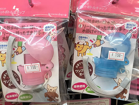 極寒の中のお散歩_e0362456_18555064.jpg