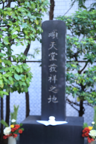 江戸の風物詩・薬研堀不動尊歳の市_f0229832_22413193.jpg
