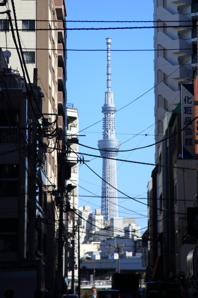 江戸の風物詩・薬研堀不動尊歳の市_f0229832_22424540.jpg