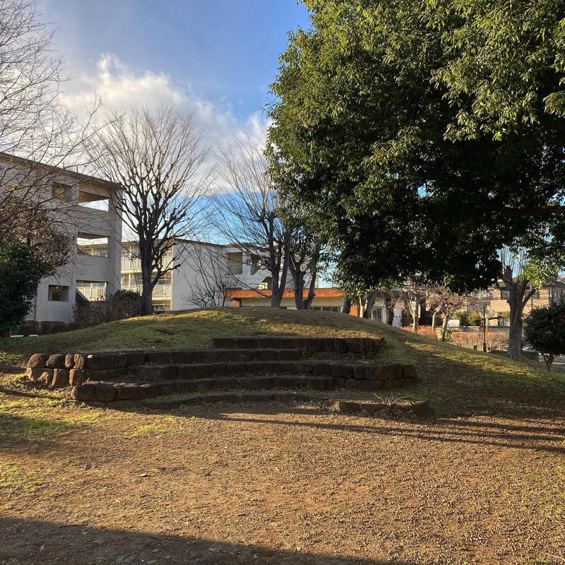 公園の山に登る人_c0060143_10462293.jpg