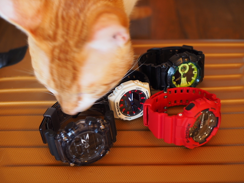 【G-SHOCKコレクション②】ブラックスケルトンの「GA-900SKE」_b0008655_15583251.jpg