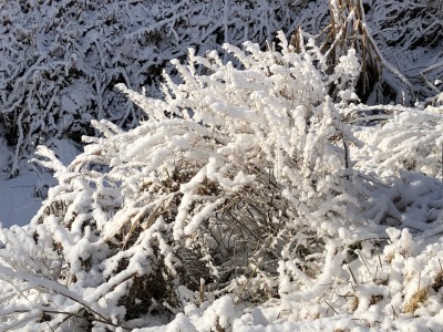 クリスマス後の雪_c0353373_04265810.jpg