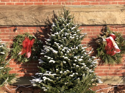 クリスマス後の雪_c0353373_04265862.jpg