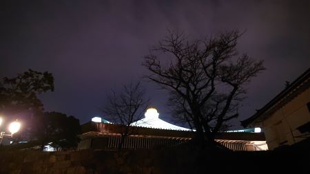 2021.12.29_魅世物小屋が暮れてから〜SHOW AFTER DARK〜 in 日本