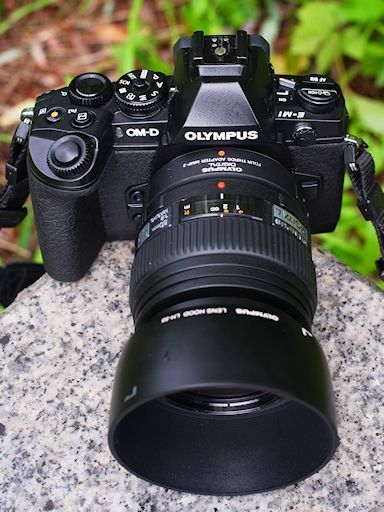 ミラーレス・クラッシックス(23)OLYMPUS OM-D E-M1 MarkⅡ ミラーレス・クラッシックス(23)OLYMPUS OM-D E-M1 MarkⅡ