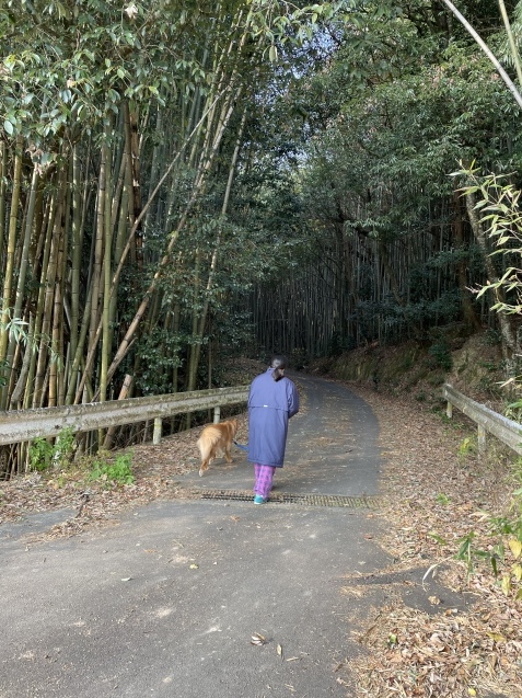 もと居た場所。_a0394574_11242016.jpeg