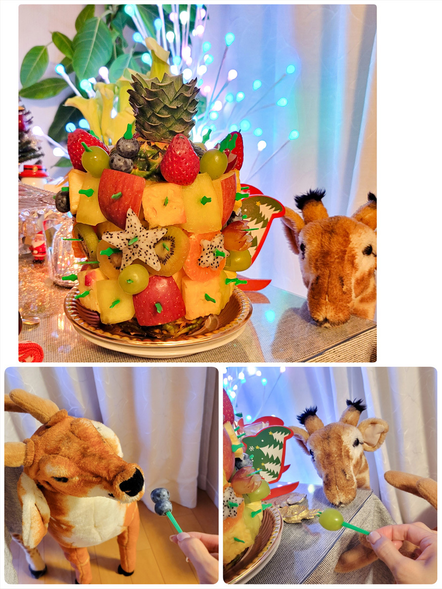 Merry Christmas🎄…and Happy times!!_d0224894_13233338.jpg