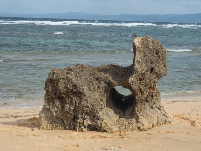 2021沖縄の離島と由布院・黒川温泉の旅vol.9～古宇利島と今帰仁城～_f0276498_21101705.jpg