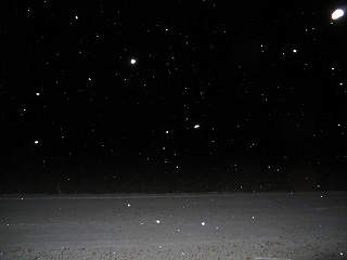 夕方に少しだけ雪が降りました_b0405523_15474636.jpg