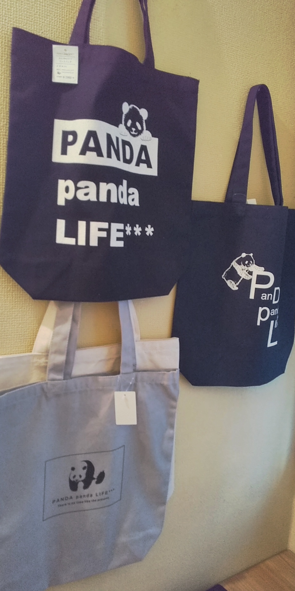 年越しパンダ展 ＰANDA panda LIFE***大西亜由美さん作品通販可能です　１月３１日迄受付中です_d0322493_15430373.jpg