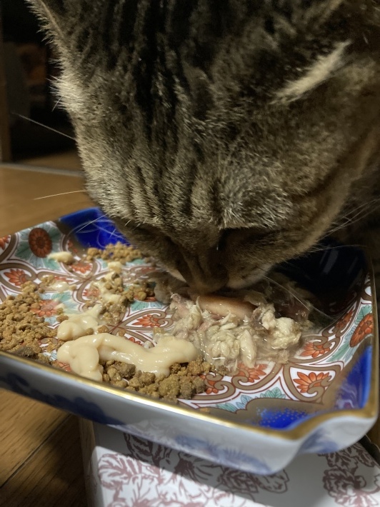 2022年 あけましておめでとうございます_b0412708_11001731.jpeg