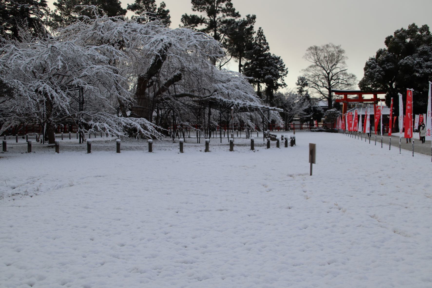 雪の上賀茂神社　初詣_e0048413_11573745.jpg