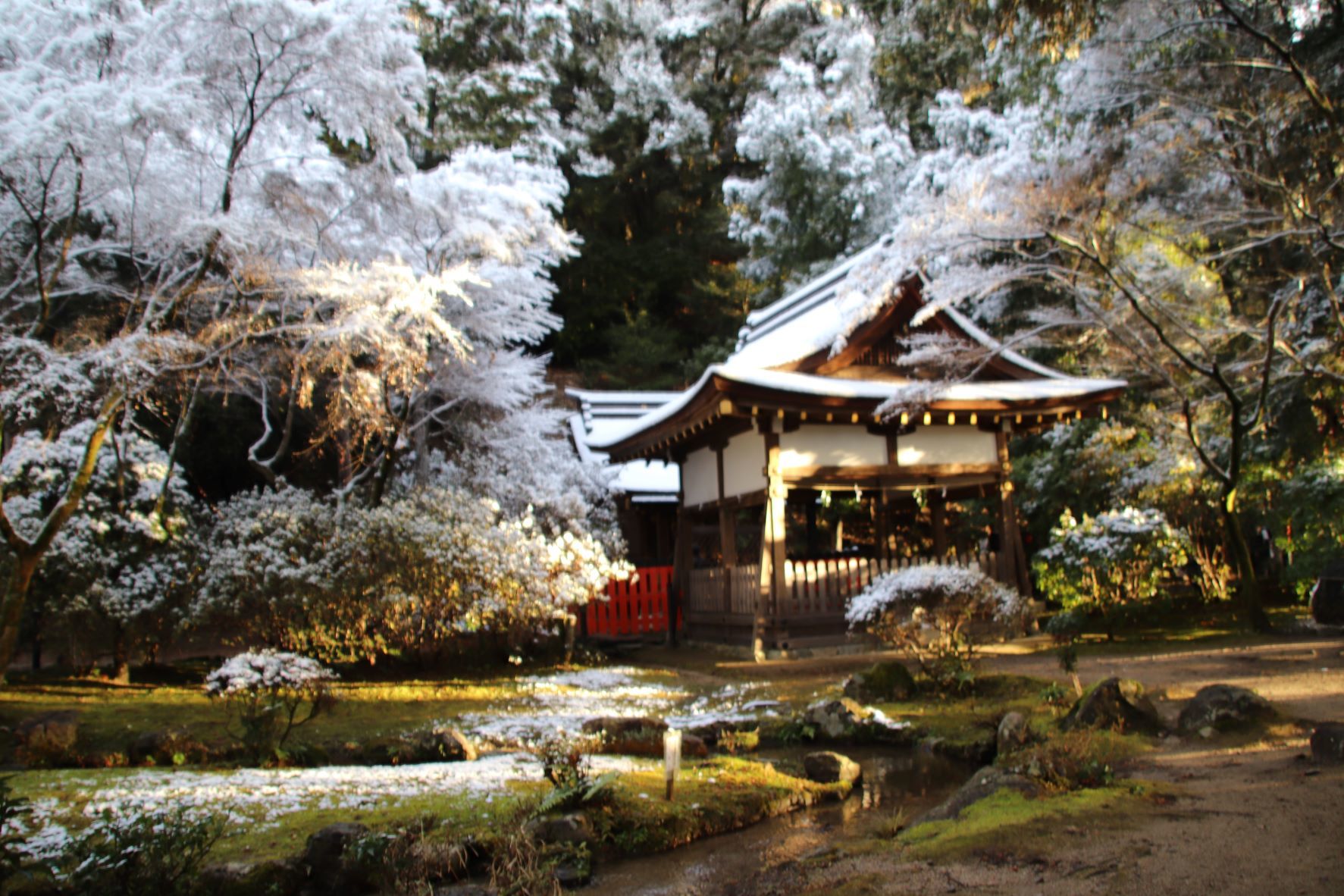 雪の上賀茂神社　初詣_e0048413_11584104.jpg