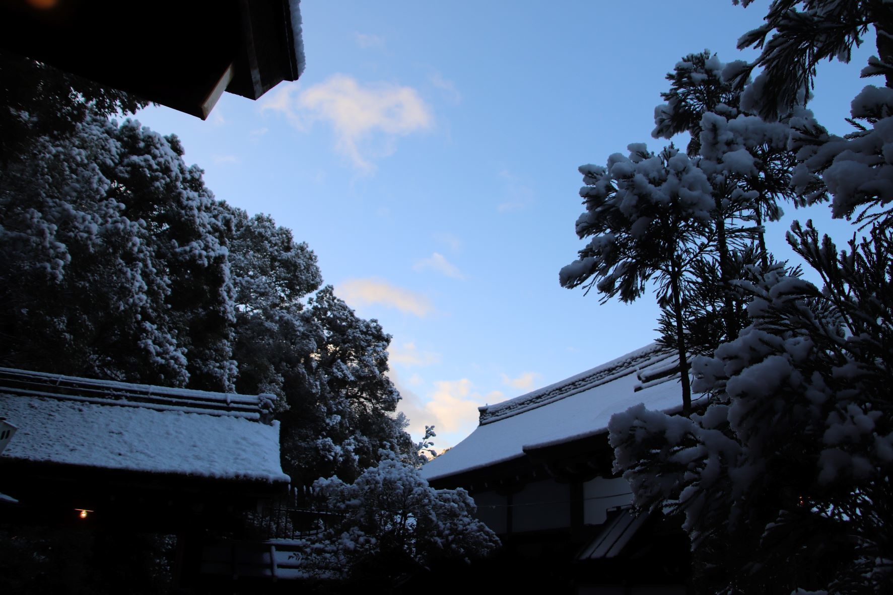 雪の上賀茂神社　初詣_e0048413_11585136.jpg