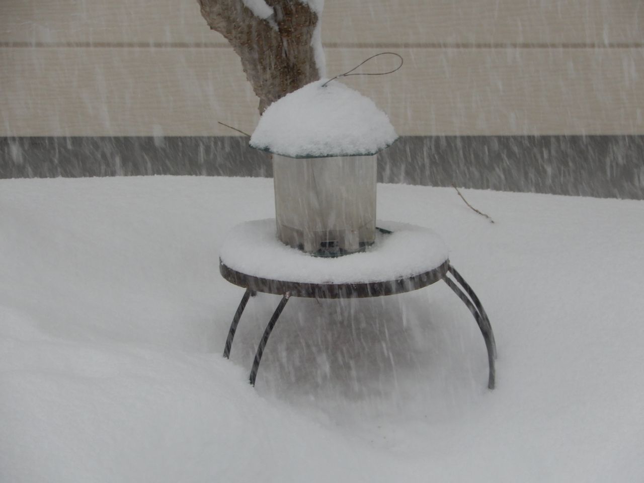 豪雪で明けた寅年_c0025115_22381644.jpg